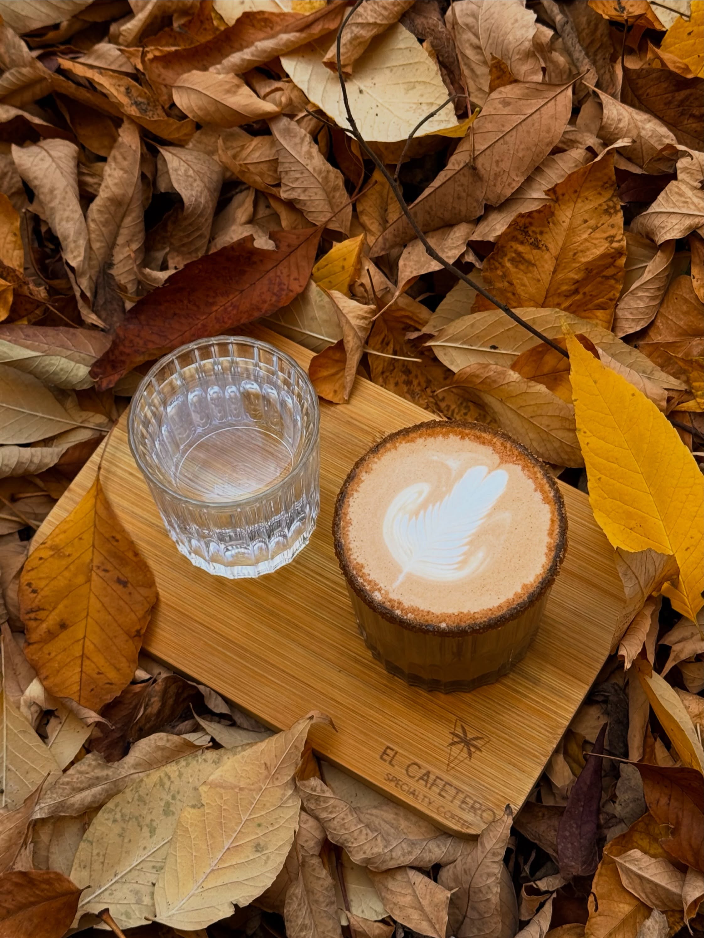 Jesień smakuje jeszcze lepiej w El Cafetero. 🍂☕️

Poznajcie nasze jesienne nowości:
🎃 Pumpkin Spice Latte — dynia, aromatyczne przyprawy i jesienny klimat.
🍵 Chai Latte — rozgrzewające połączenie herbaty i korzennych przypraw.
🍂 Hojicha Flat — delikatna, prażona japońska herbata z kremowym mlekiem.
🍌 Banana Cocoa — słodki banan i intensywne kakao w jednej filiżance.
🍿 Mleko Popcornowe - klasyka mleka owsianego z nutą popcornu - oczywiście opcja roślinna bez dopłat

Którego spróbujecie jako pierwszego? 🤎

—

Autumn tastes even better at El Cafetero. 🍂☕️

Meet our autumn specials:
🎃 Pumpkin Spice Latte — pumpkin, warming spices and all the autumn vibes.
🍵 Chai Latte — a comforting blend of tea and warming spices.
🍂 Hojicha Flat — roasted Japanese green tea with creamy milk.
🍌 Banana Cocoa — sweet banana meets rich cocoa in one cup.
🍿 Popcorn Oat Milk — classic oat milk with a hint of popcorn. All plant-based, of course, and with no extra charge.

Which one are you trying first? 🤎

📍 Emilii Plater 8 
📍 Marszałkowska 27/35

#specialtycoffee #pumpkinspicelatte #chailatte #hotchoclate kawiarniawarszawa